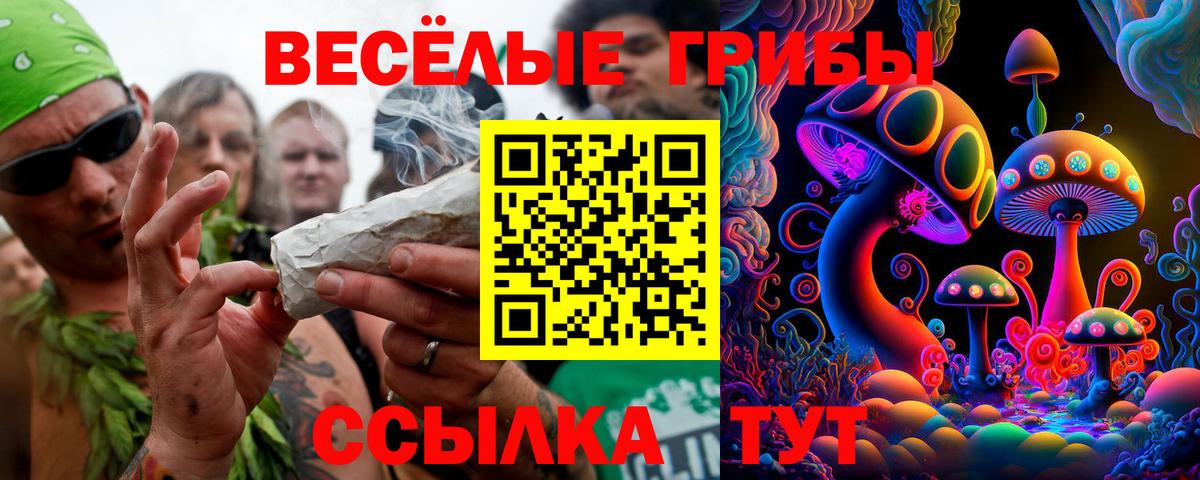 Кинель  купить наркоту  Галлюциногенные грибы прущие грибы  Вход с VPN  Псилоцибиновые грибы прущие грибы 