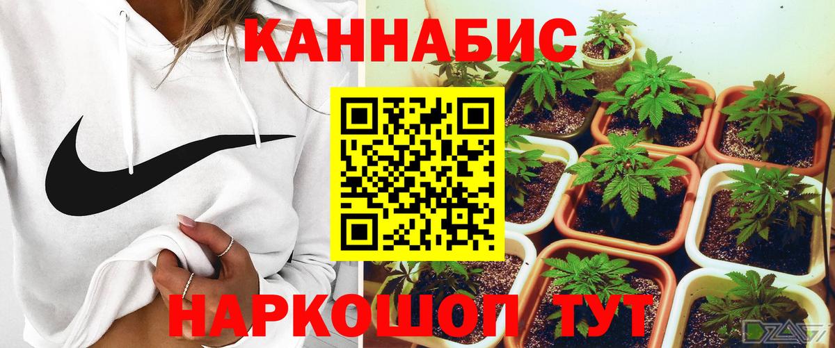 Кинель  Канабис тримм  Вход с VPN  Шишки марихуана сатива 